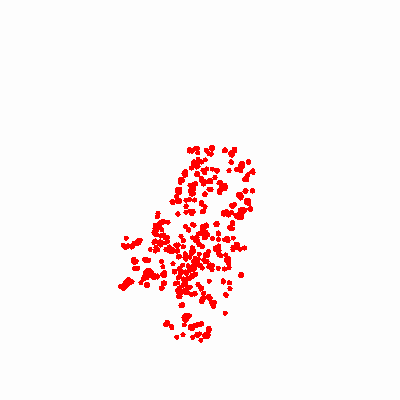 Export Image